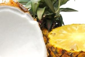 coconut vs. pineapple