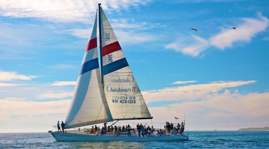 Sailing charter in Santa Cruz: Chardonnay