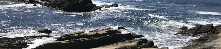Point Lobos Natural State Reserve