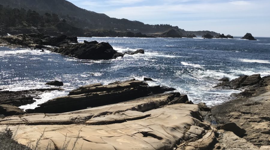Point Lobos Natural State Reserve